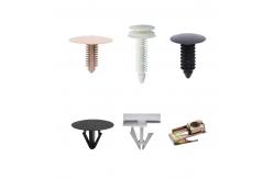 China Nylon Car Clips Push Retainer Pins Kit White Black Blue supplier