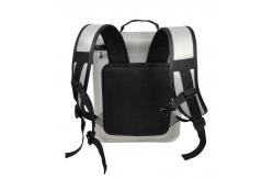 China Customized TPU Soft Cooler Backpack Waterproof Insulated For Outdoor supplier