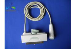 China 4MHz Cardiac Ultrasound Probe Biosound Biosound PA230E Phased Array Transducer supplier