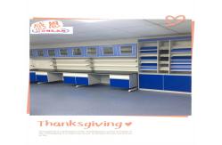 China Durable Lab Wall Benches With Customizable Options And Powder Coating supplier