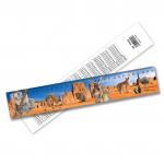 China Factory 3D Lenticular Ruler 3D Animal Ruler Lenticular Print for sale