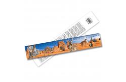 China China Factory 3D Lenticular Ruler 3D Animal Ruler Lenticular Print supplier