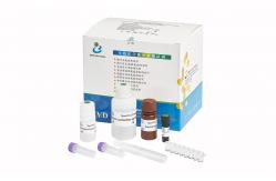 China SpermFunc Kits / Solid Phase BAPNA Method For Spermatozoa Acrosin Activity Quantitative Test supplier