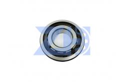 China Suitable  Hydraulic Pump Bearing External NV111 111 supplier