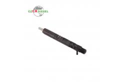 China New Fuel Common Rail Injector EJBR02101Z 166003978R for Delphi Engine supplier