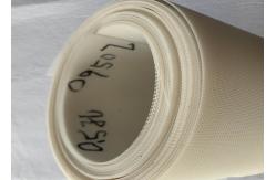 China Conveyor Food Grade Polyester Mesh Belt For Paper Drying supplier