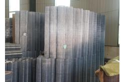 China Customizable 8 Gauge Electric Galvanized Welded Wire Mesh Roll For Tree Guards supplier