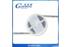 China Ultra Thin Flexible RGB LED Strip Lights 5000x10x3MM For Hotel supplier