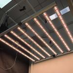 Foldable 650W 8Bars Full Spectrum LED Grow Lights Samsung LM301H Osram UV IR