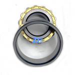 Reducer Cylindrical Roller Bearings RN203ECM RN204ECM RN205ECM RN206ECM Cylindrical Roller Bearing