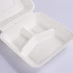 Eco Friendly Sugarcane Bagasse Clamshell Biodegradable Take Away Food Packaging for sale
