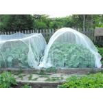 Horticulture Hdpe Fly Screen Mesh Agriculture Growing Insect Proof Network 40 Mesh for sale