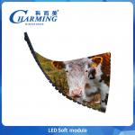 Wholesale Price P2/P2.5Led Soft Module indoor screen,Indoor soft screen  IP40 SMD2020/SMD1515 for sale