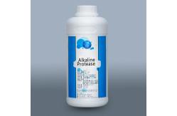 China 2.4L Protease Enzyme In Food Industry Providing Enzyme Preparation Sample supplier