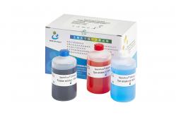 China Simple Use Diff Quik Stain Kit For Spermatozoa Morphology 100ml/Kit supplier