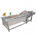 Pasteurization Vegetable Fruit Washing Machine 1500kg/H for sale