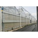 Large Complete Waterproof Multi Span Greenhouse For Tomato Plant Growing for sale