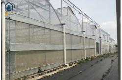 China Large Complete Waterproof Multi Span Greenhouse For Tomato Plant Growing supplier