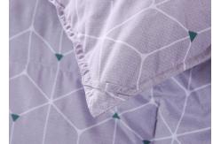 China Home 300T Satin 250g/M2 Duck Down Duvet supplier