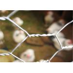 304 Stainless Steel 20 GA Chicken Metal Wire Mesh Poultry Netting Hex Hole 3/4 for sale
