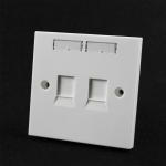 White Color RJ45 2 Port SGS Network Cable Faceplate for sale