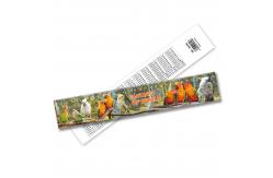 China Custom Designed 3D Lenticular Plastic Ruler Cheap Promotion Gifts from China supplier