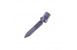 China Internal Fixation Spinal Screws Implants U-Multi-Axial Break Off Customize supplier
