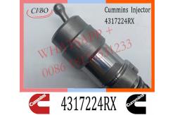 China Diesel Engine Fuel Injector 4317224RX 4317224 For Cummins QSK45 QSK60 Engine supplier