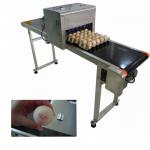 Electronic Smart Eggs Edible Image Printer For Batch Number / Expiration Date for sale