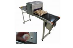 China Electronic Smart Eggs Edible Image Printer For Batch Number / Expiration Date supplier