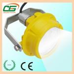 UL FCC Waterproof Gas Station LED Canopy Light 20 Watt , WF2 LED Marine Dock Lighting Fixtures for sale