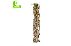 China No Nursing H150cm Plastic Ficus Tree , Small Artificial Tree durable supplier