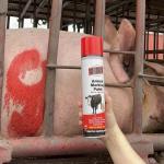 Aeropak Long Lasting Livestock Marking Paint Marker Paint For Cattle And Pigs for sale