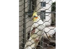 China Stainless Steel 304/316 Aviary Mesh Small hole flyproof Parrot Cage house fence supplier