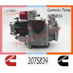 Diesel Engine Parts Fuel Injection PT Pump 3075834 3059657 3060947 For Cummins KTA50 for sale