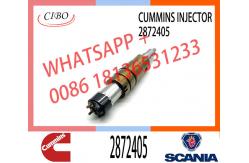 China Fuel Injector Assembly 2872544 2086663 2057401 2872405 203183 Common Rail Injector supplier