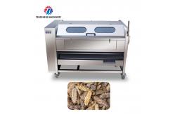China 1500KG/H Root Vegetable Washing And Peeling Machine For Restaurant supplier