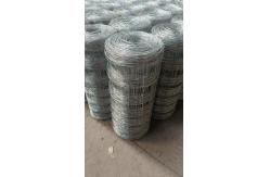China Silver Chain Link Fence Varying Link Length Durable Powder Coated Coating supplier