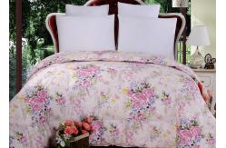 China 220cm Width 240cm Length 95% Duck Down Duvet supplier