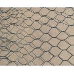 PET 100x120mm galvanized hexagonal chicken wire mesh ecological governance for sale