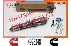 China Injector Nozzle Assembly 4087889 4928348 4062088 QSK19 QSK23 QSK60 Engine Series supplier