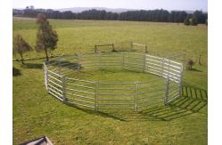 China 15pcs Bundle Heavy Duty Portable Cattle Panels For Sale & Gate supplier