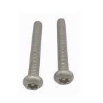 Dacromet Stainless Steel Security Screws SUS201 Screws Anodized Niplated