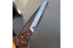 China Ergonomic Office Scissors with Blister Card supplier
