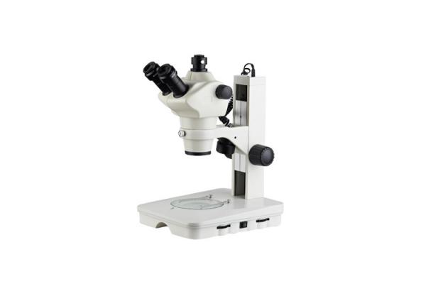 Trioncular Zoom Stereo Microscope With 0.5X/211 mm Auxiliary Objective
