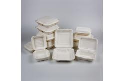 China 1 2 3 Compartments Disposable Burger Takeaway Containers supplier