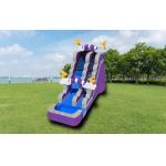 Inflatable Purple Thunder Water Slide With Pool Outdoor Playground