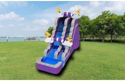 China Inflatable Purple Thunder Water Slide With Pool Outdoor Playground supplier