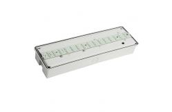 China Professional Custom Surface Wall Mounted Waterproof Emergency Light supplier