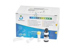 China Easy Handle Peroxidase Assay Kit / Semen Leukocytes Test Kit CE Approved supplier